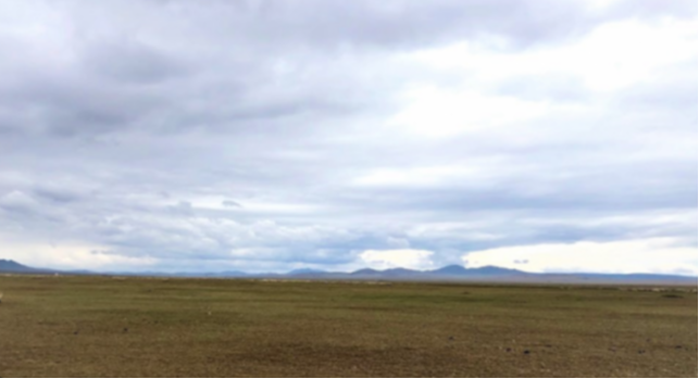 Нутгийн 60 гаруй хувьд бэлчээрийн ургамал цухуйгаагүй байна